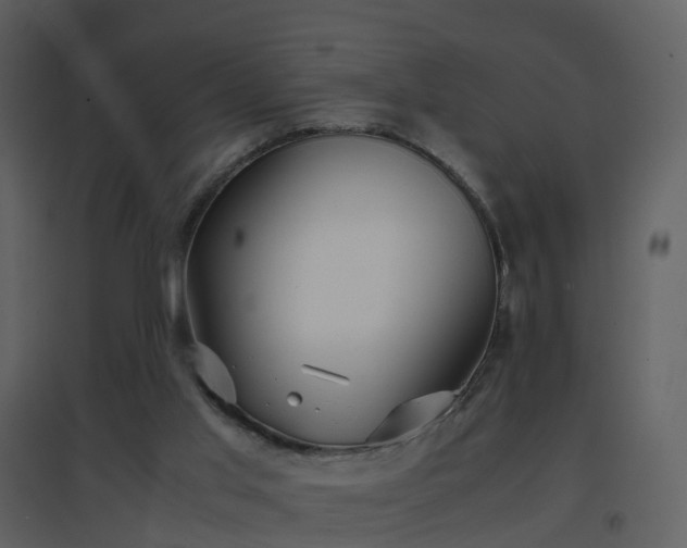 X0000096700013200802121213