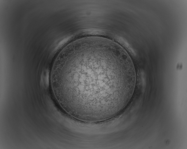 X0000096700014200802121213