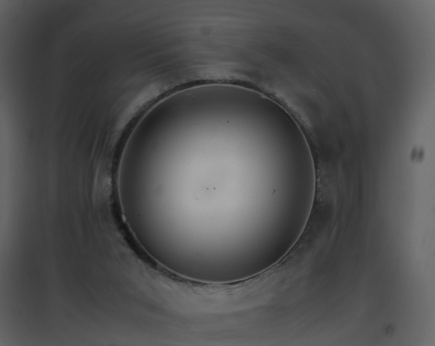 X0000096700015200802121213