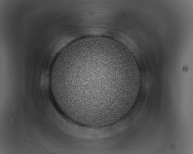 X0000096700016200802121213