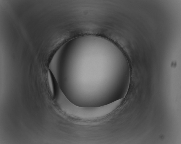 X0000096700017200802121213