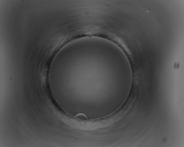 X0000096700018200802121213