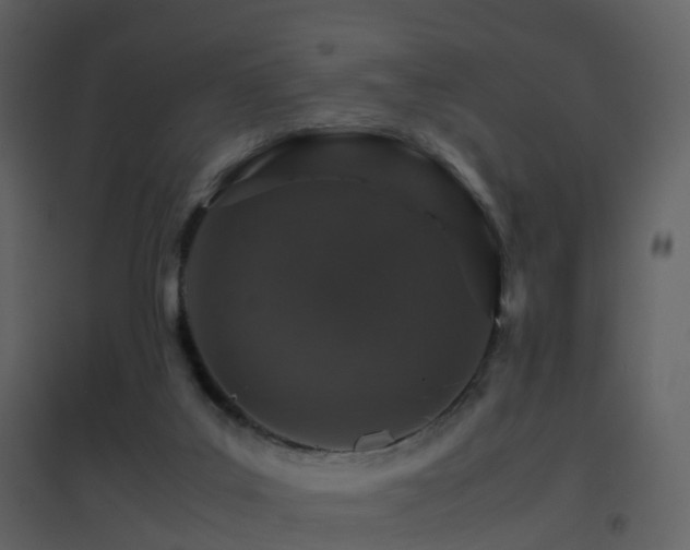 X0000096700019200802121213