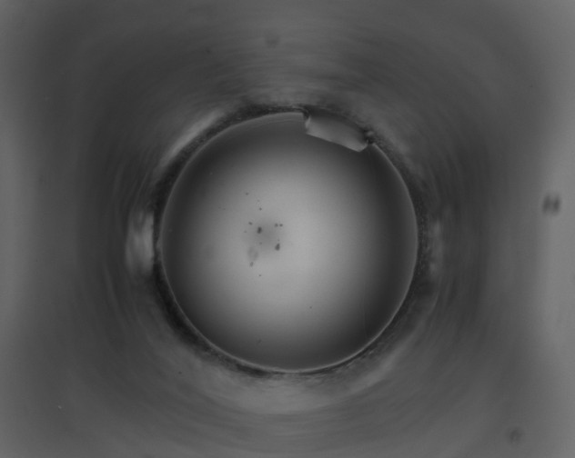 X0000096700020200802121213