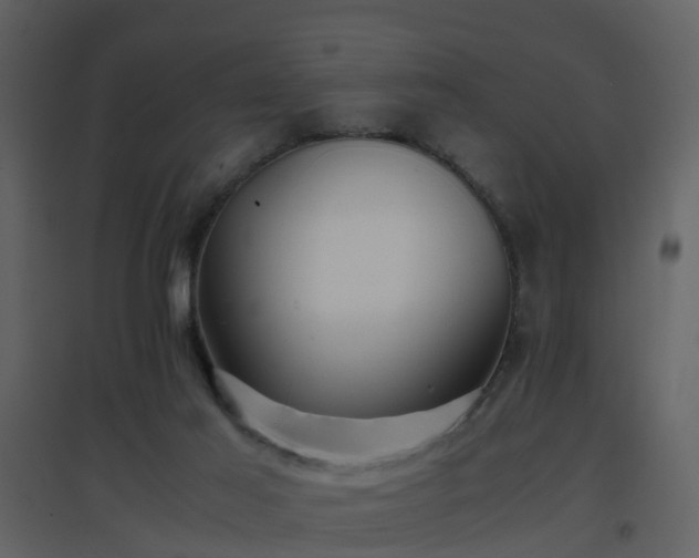 X0000096700021200802121213