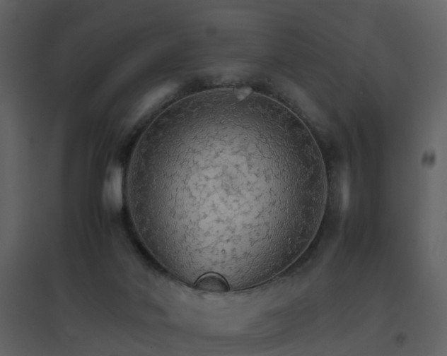 X0000096700022200802121213
