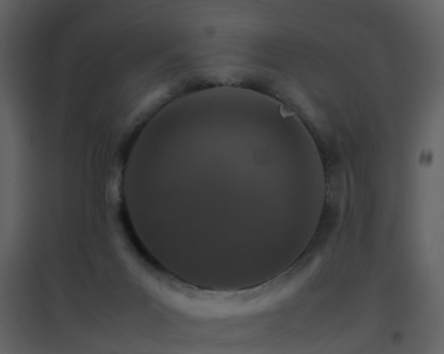 X0000096700023200802121213