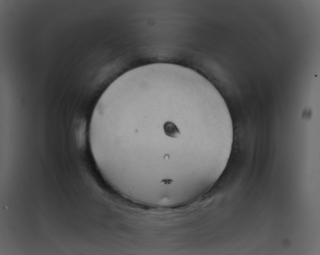X0000096700024200802121213