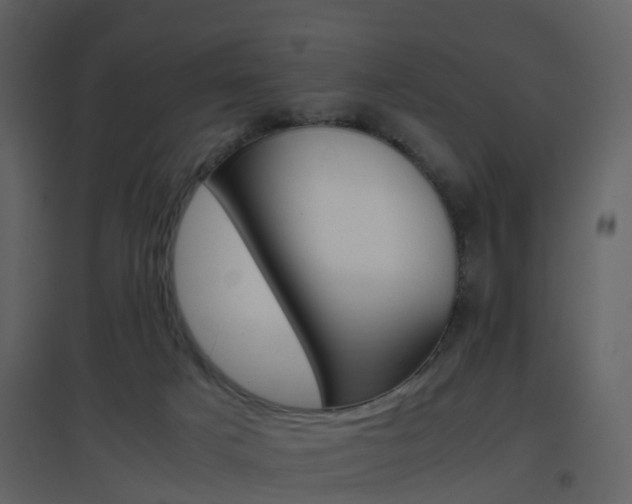 X0000096700025200802121213