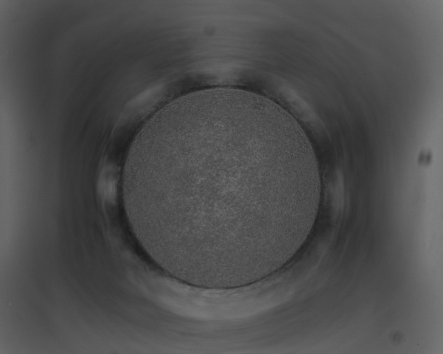 X0000096700026200802121213