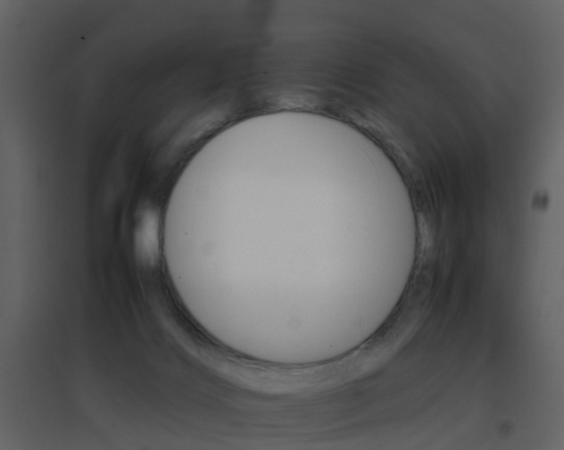 X0000096700028200802121213