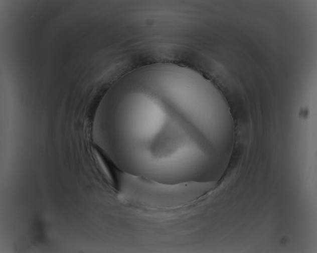 X0000096700029200802121213
