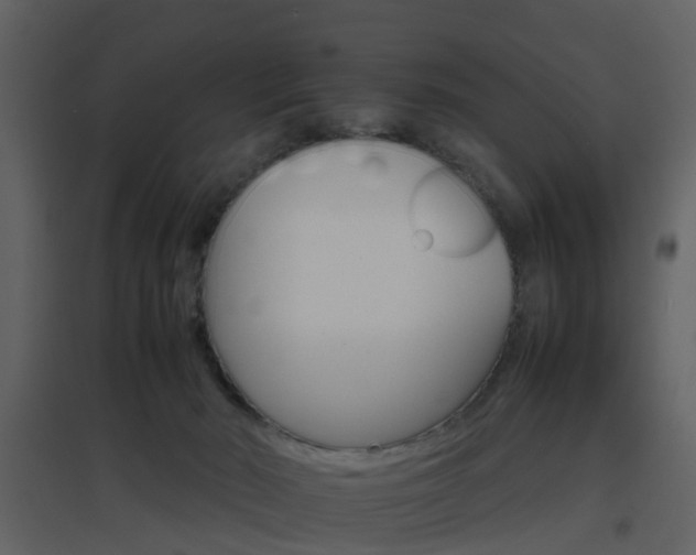 X0000096700030200802121213