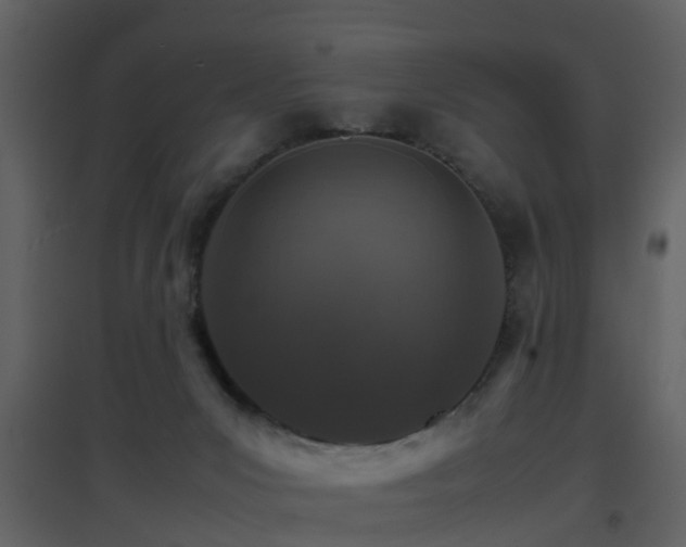 X0000096700031200802121213