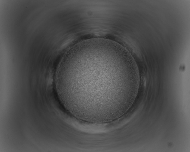 X0000096700032200802121213