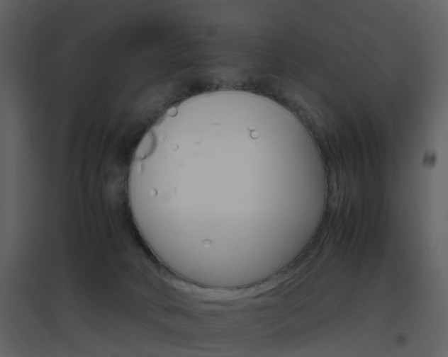 X0000096700034200802121213