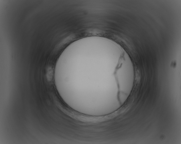 X0000096700036200802121213