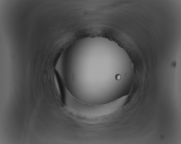 X0000096700037200802121213