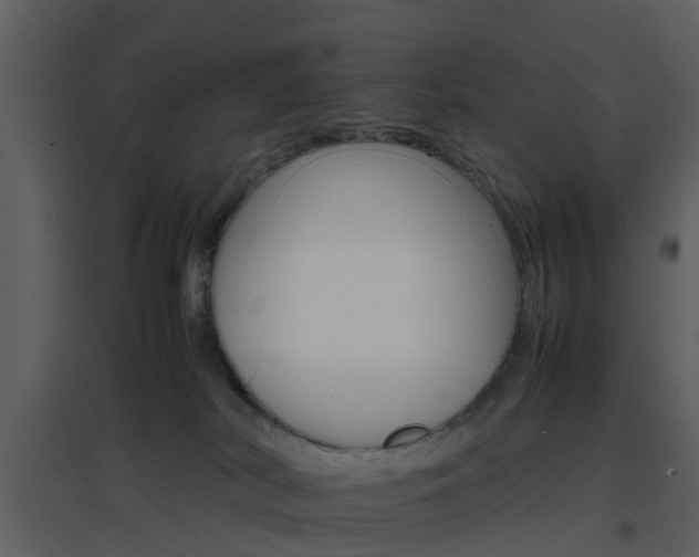 X0000096700038200802121213