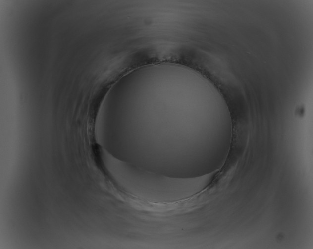 X0000096700039200802121213