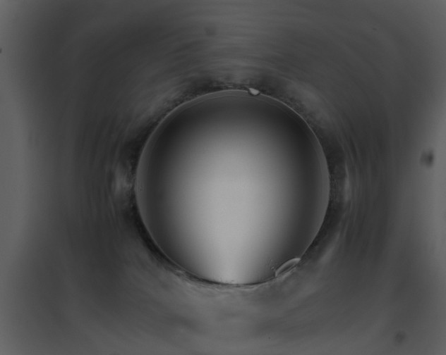 X0000096700040200802121213