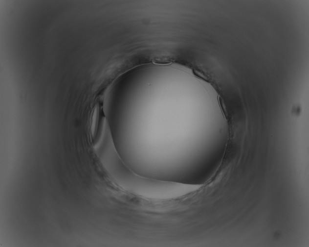 X0000096700041200802121213
