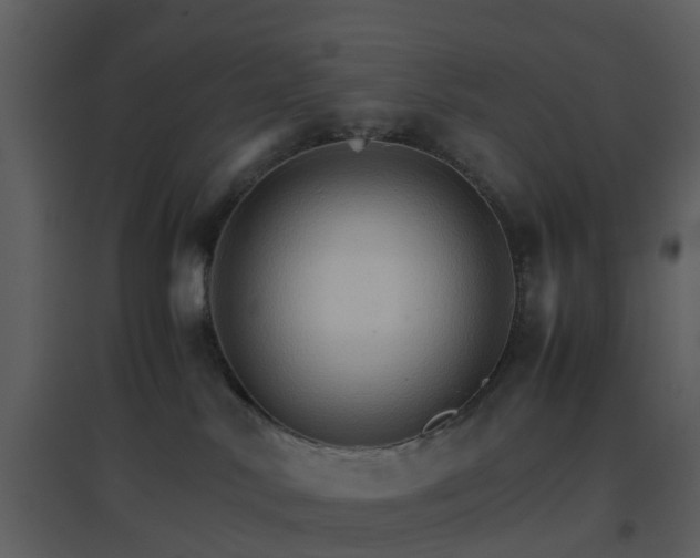 X0000096700042200802121213