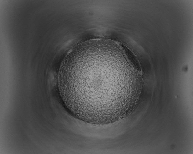 X0000096700043200802121212