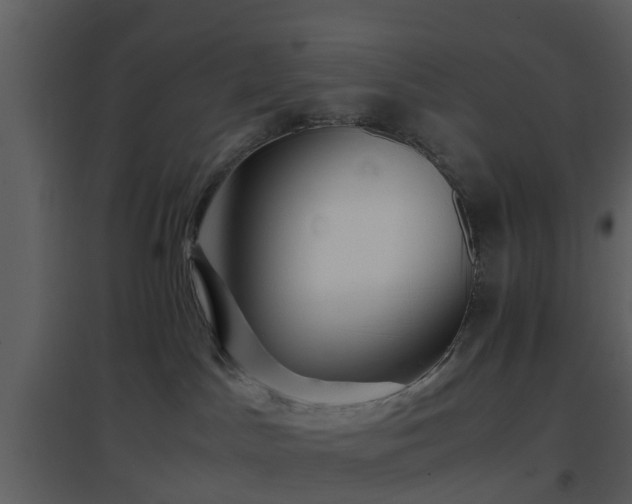 X0000096700045200802121212