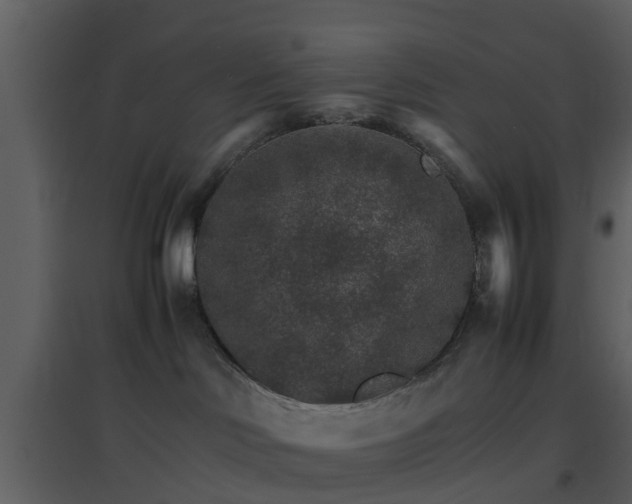 X0000096700046200802121212