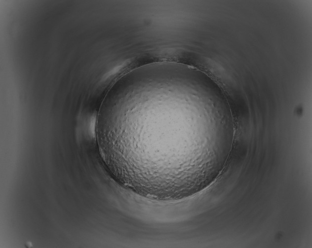 X0000096700047200802121212