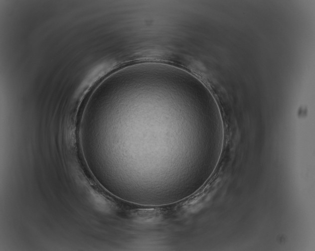 X0000096700050200802121211