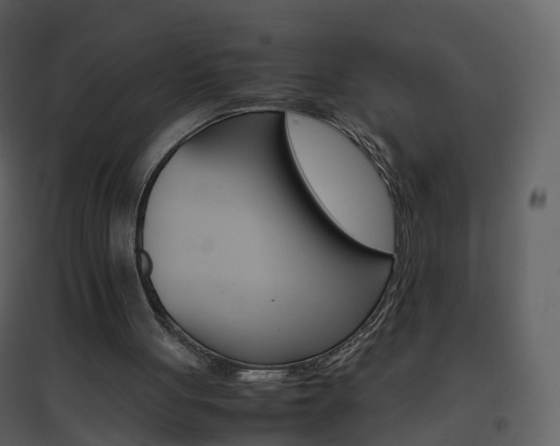 X0000096700051200802121211