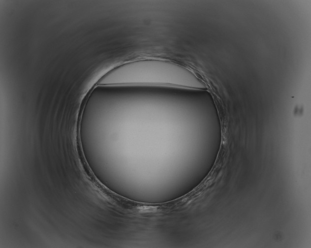 X0000096700052200802121211