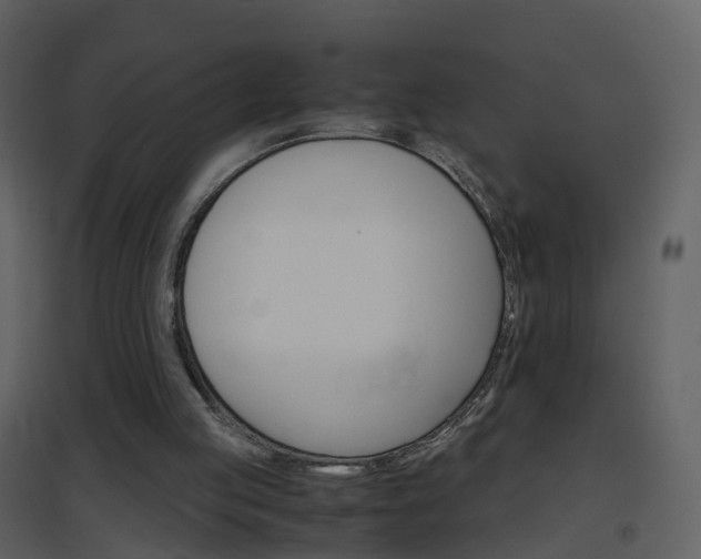 X0000096700053200802121211