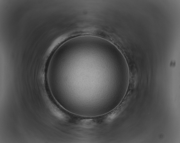X0000096700054200802121211