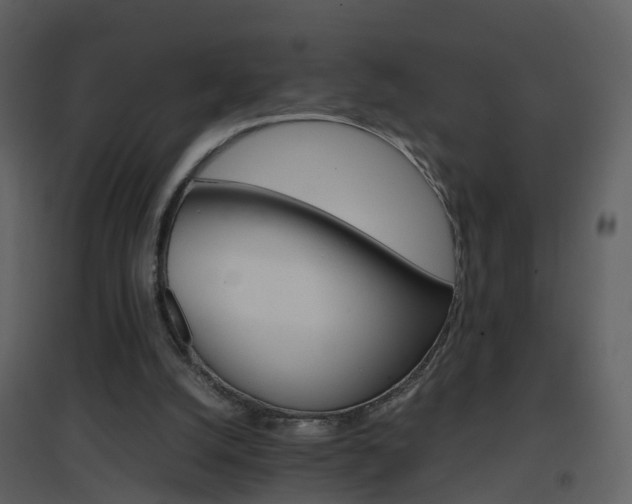 X0000096700056200802121211