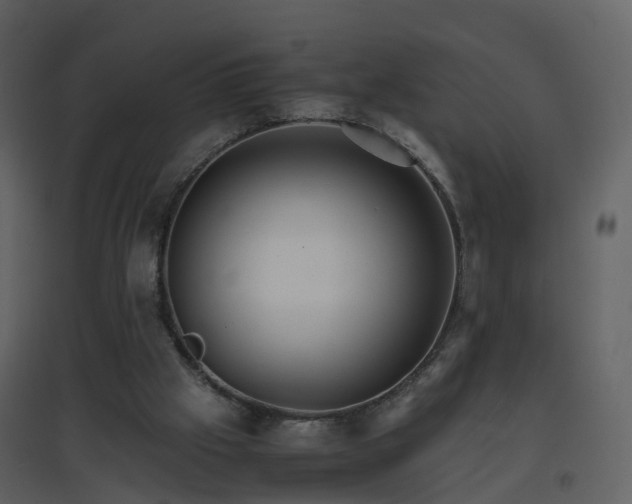 X0000096700057200802121212