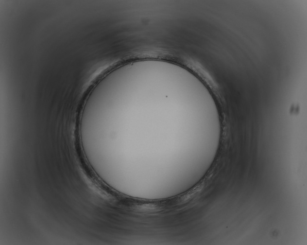 X0000096700058200802121212