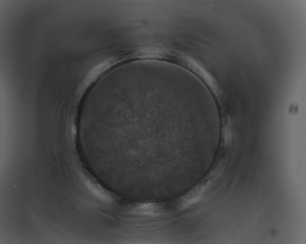 X0000096700059200802121212
