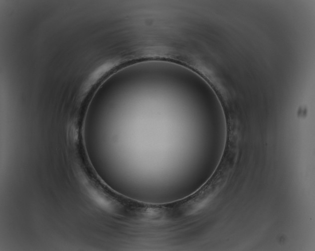 X0000096700060200802121212