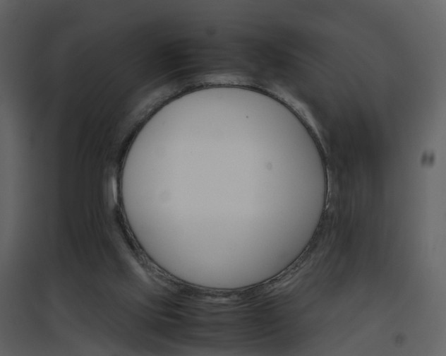 X0000096700061200802121212