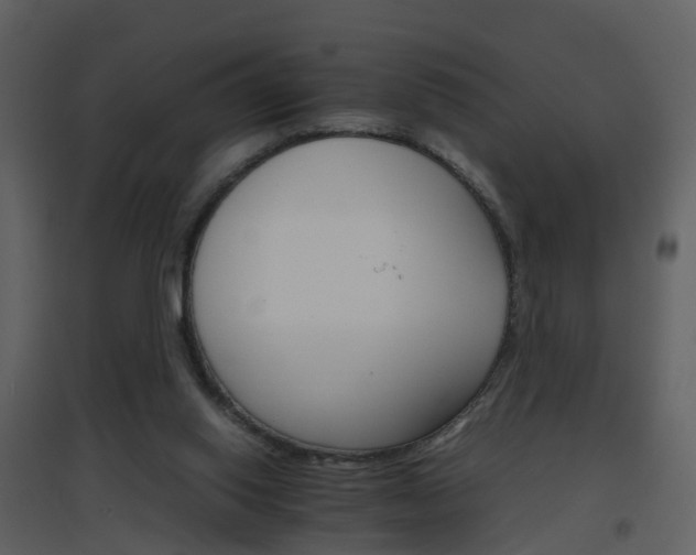 X0000096700062200802121212