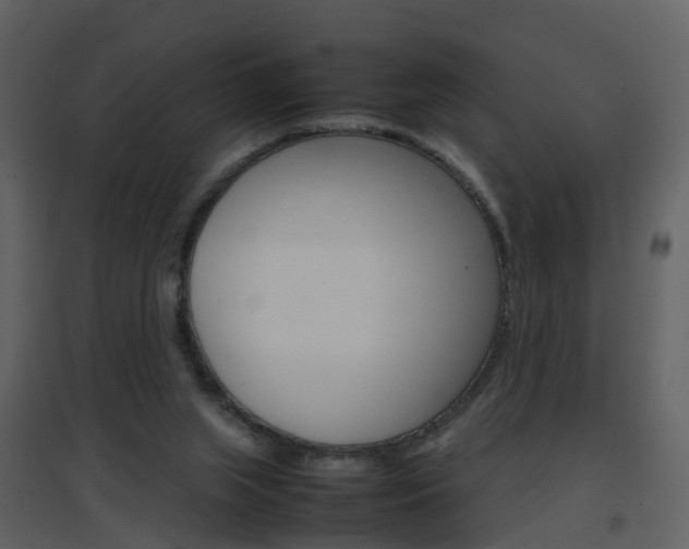 X0000096700063200802121212