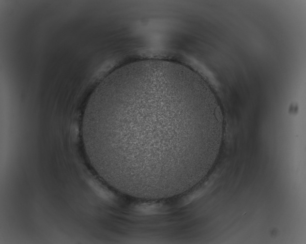 X0000096700065200802121212