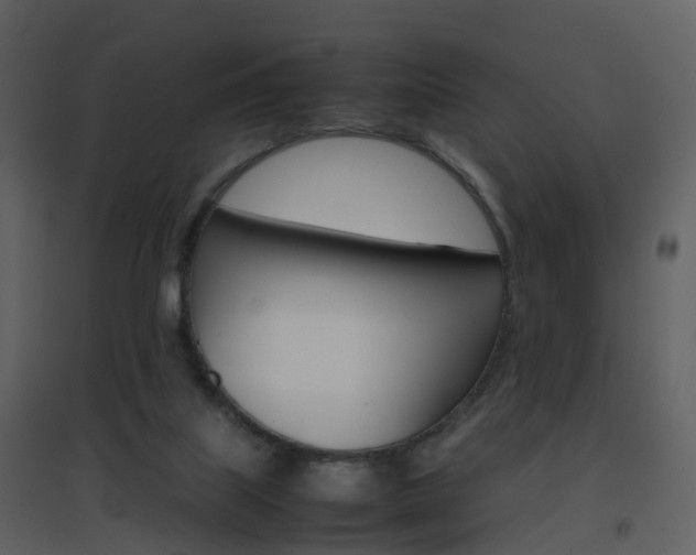 X0000096700067200802121212