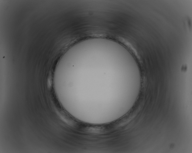 X0000096700069200802121212