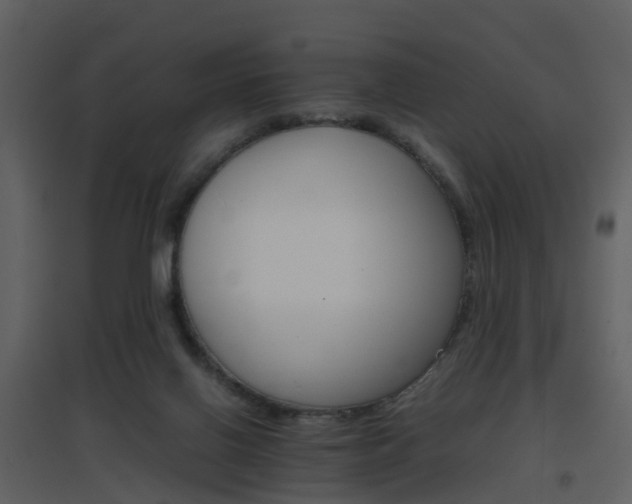 X0000096700070200802121212