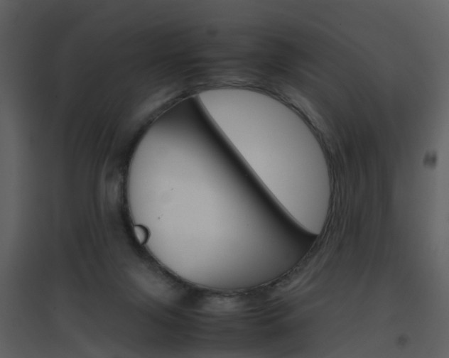 X0000096700071200802121212