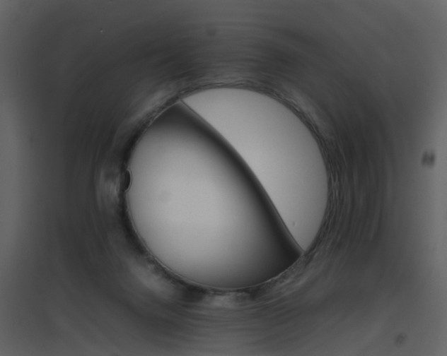 X0000096700072200802121212